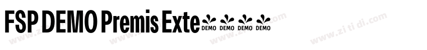 FSP DEMO Premis Exte字体转换